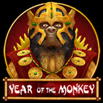 Year Of The Monkey