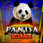 Panda King