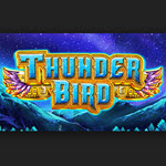 Thunder Bird