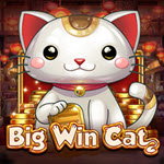 Big Win Cat
