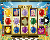 Fat Cat
