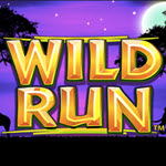 Wild Run