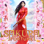 Sakura Fortune