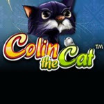 Colin the Cat