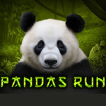 Panda’s Run