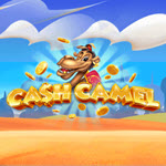 Cash Camel