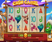 Cash Camel