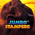 Jumbo Stampede