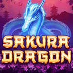 Sakura Dragon