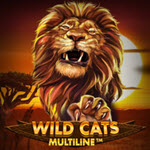 Wild Cats Multiline