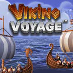 Viking Voyage