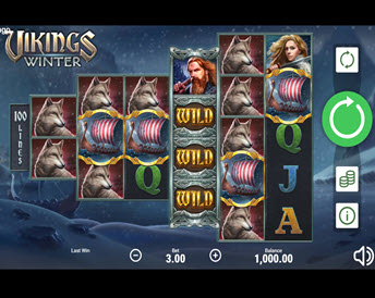 Vikings Winter