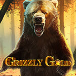 Grizzly Gold