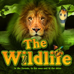 The Wildlife
