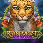 Rainforest Magic