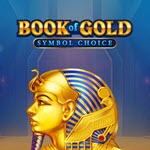 Book of Gold: Symbol Choice