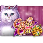 Cutie Cat Crazy Chicken Shooter