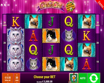 Cutie Cat Crazy Chicken Shooter