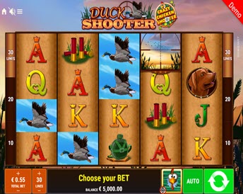 Duck Shooter Crazy Chicken Shooter