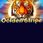 Golden Stripe