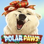Polar Paws