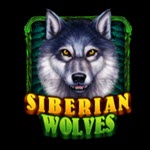 Siberian Wolves