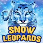 Snow Leopards