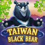Taiwan Black Bear