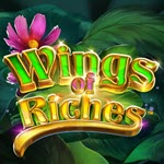 Wings of riches
