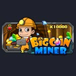 Bigcoin Miner