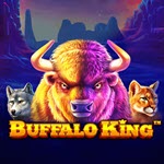 Buffalo King