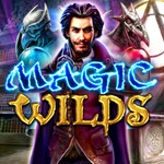 Magic Wild