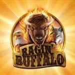 Ragin' Buffalo