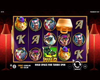 The Catfather Part II