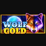 Wolf Gold