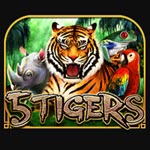 5 Tigers