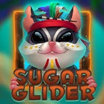 Sugar Glider