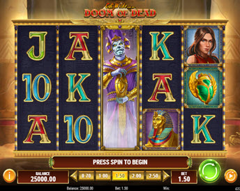 Cat Wild and the Doom of Dead