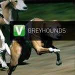 Greyhounds