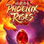 Phoenix Rises