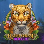 Rainforest Magic Bingo