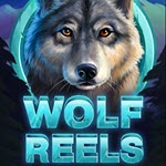 Wolf Reels