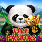 Five Pandas