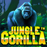 Jungle Gorilla