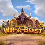Win A Beest