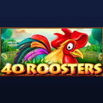 40 Roosters