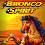 Bronco Spirit