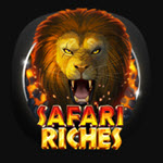 Safari Riches