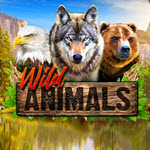 Wild Animals