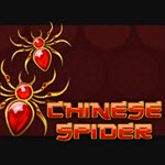 Chinese Spider